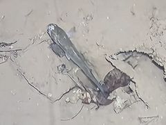 -石老人观光园