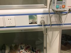 -辛巴宠物医疗中心·骨科·内分泌专科·心肾专科(亭林公园店)