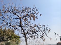-嘉北郊野公园