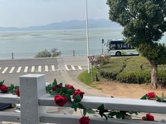 -美味之家·湖景农家乐(太湖东山店)
