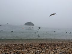 -棒棰岛宾馆景区