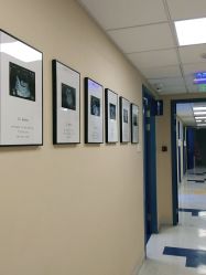 -杭州贝瑞斯美华妇儿医院·早孕·产检·儿科