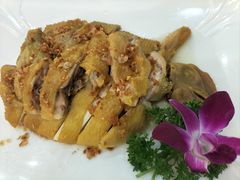 -东江渔村·古典园林·30年粤菜老字号(太和店)