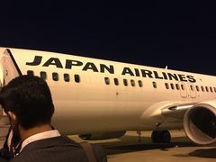 -全日本空输株式会社(上海办事处)