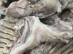 -月星羊肉面馆(黄河路美食休闲街店)