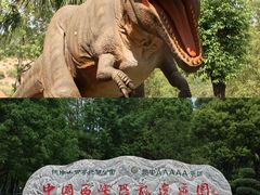 -中国西峡恐龙遗迹园