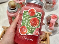 -野萃山·潮汕厚果汁(十亩地店)