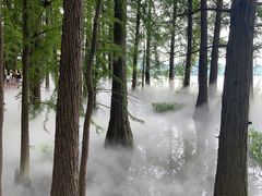 -东湖落雁景区