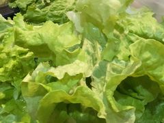 -胡悦里韩式烤肉(芝罘万达广场店)