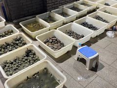 -中环花鸟鱼虫市场