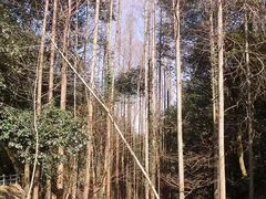 -千岛湖龙川湾