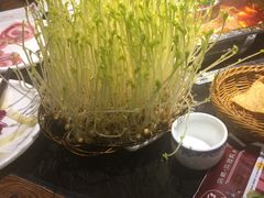 -陆派巴倒烫火锅(城东店)