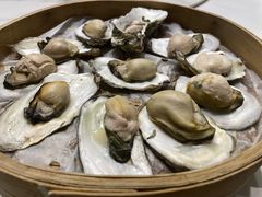 青岛海蛎子原味蒸-新海渔港·胶东海鲜家常菜·家宴(奥体中心店)