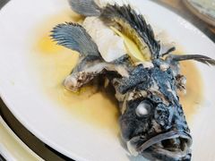 -77号渔船·蒸海鲜青岛菜(积米崖店)