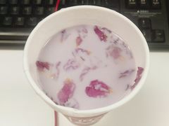 -1828王老吉·草本新茶(珠江新城地铁站店)