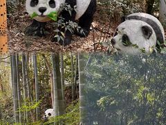 -天目湖御水温泉·度假酒店