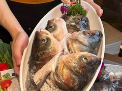 -三只耳冷锅鱼火锅(玉林店)