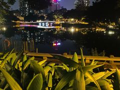 -荔湾湖公园