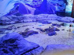 -多彩贵州城极地海洋世界