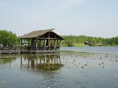 -溱湖国家湿地公园