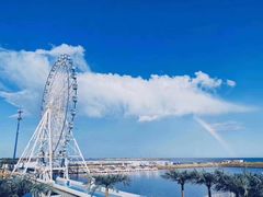 -秦皇岛乐岛海洋王国