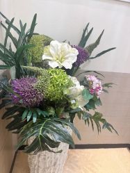 -紫洁俪方（北京）医疗美容