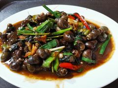 -先鲜鲫鱼粥