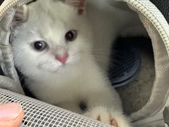 -联合动物医院(光谷诊疗中心)