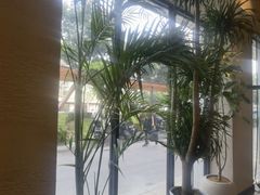 -滇牛云南火锅(桂林路店)