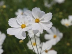 -肠相汇常德老肠子馆(雨花亭店)
