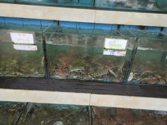 水产区-秋姐美食店(旅游大道店)