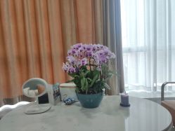 -洁铭新加坡医美