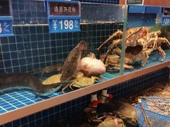 -阿明小菜·海鲜·上海菜(梅陇店)