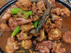 -八两八金·莱芜特色炒鸡(市南漳浦路店)