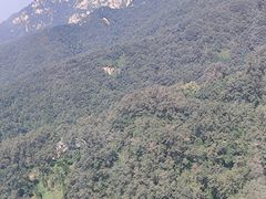 -紫金山索道-售票处