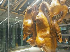 -狮头牌卤味研究所·卤味饭(花城汇南区店)