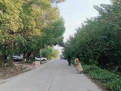 -东湖落雁景区