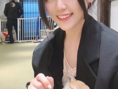 -逗柴咖啡屋·狗咖猫咖宠物桌游
