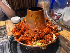 -刘记光大火锅鸡(北行店)