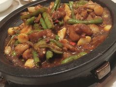 石锅酱爆牛蛙-茉莉餐厅(包河万达店)