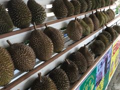 -阿龙榴莲摊