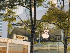 -Apple零售店(成都太古里店)