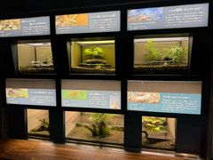 -井之头恩赐公园