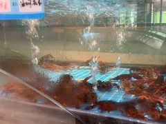 -上荔晶·土菜馆(古田店)