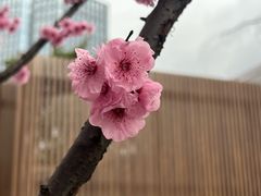 -成都市文化公园