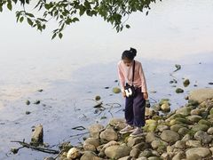 -东湖落雁景区