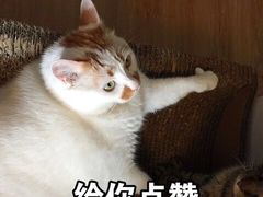 -钢管厂五区小郡肝串串香(南山店)