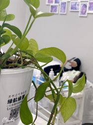 -蕾特恩专业祛痘国际连锁
