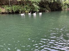 -周洛大峡谷