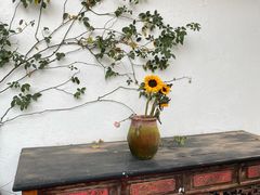 -云里小坐·小院里·团建·宴请·下午茶(三圣乡店)